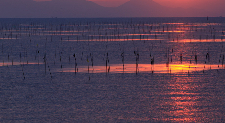 世界初の海苔の養殖が佐賀でスタート